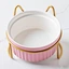 ceramic pet bowl